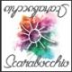 Scarabocchio